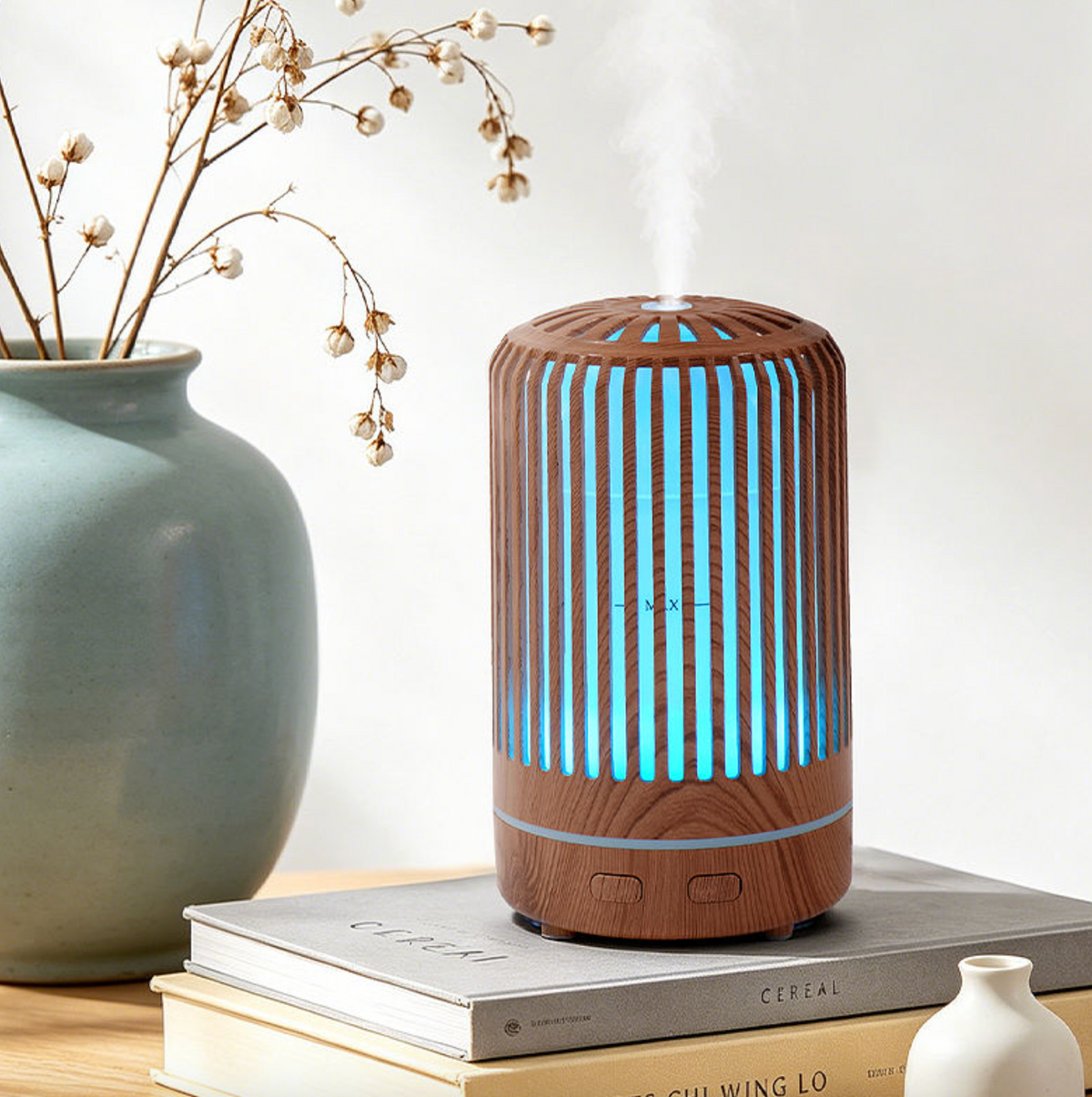 USB Portable Birdcage Aromatherapy Diffuser – Waterless Ultrasonic Humidifier